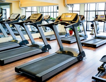 A row of treadmills in a gym