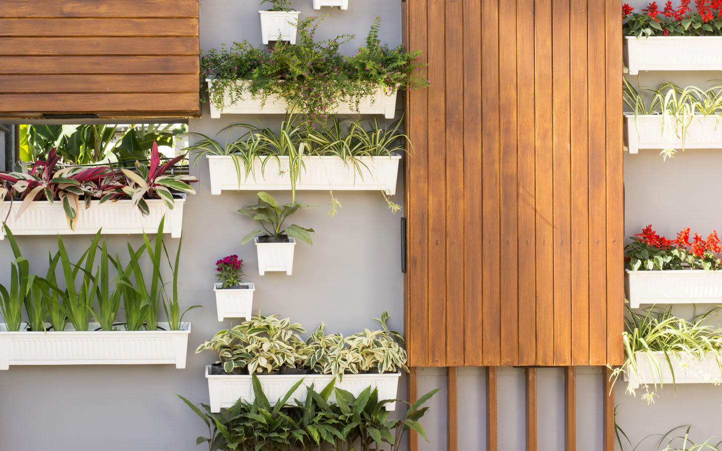 Tips on Setting Up a Vertical Garden in Your Home Zameen Blog