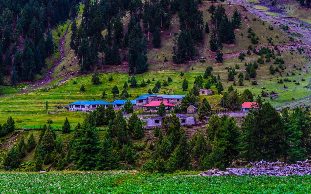 Naltar, Gilgit Valley