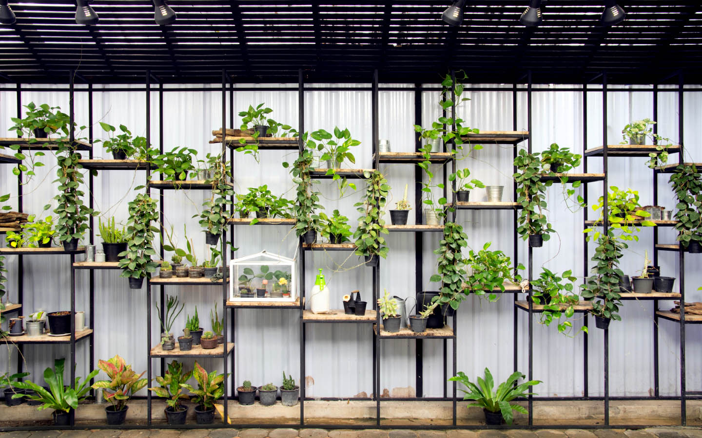 Tips on Setting Up a Vertical Garden in Your Home Zameen Blog