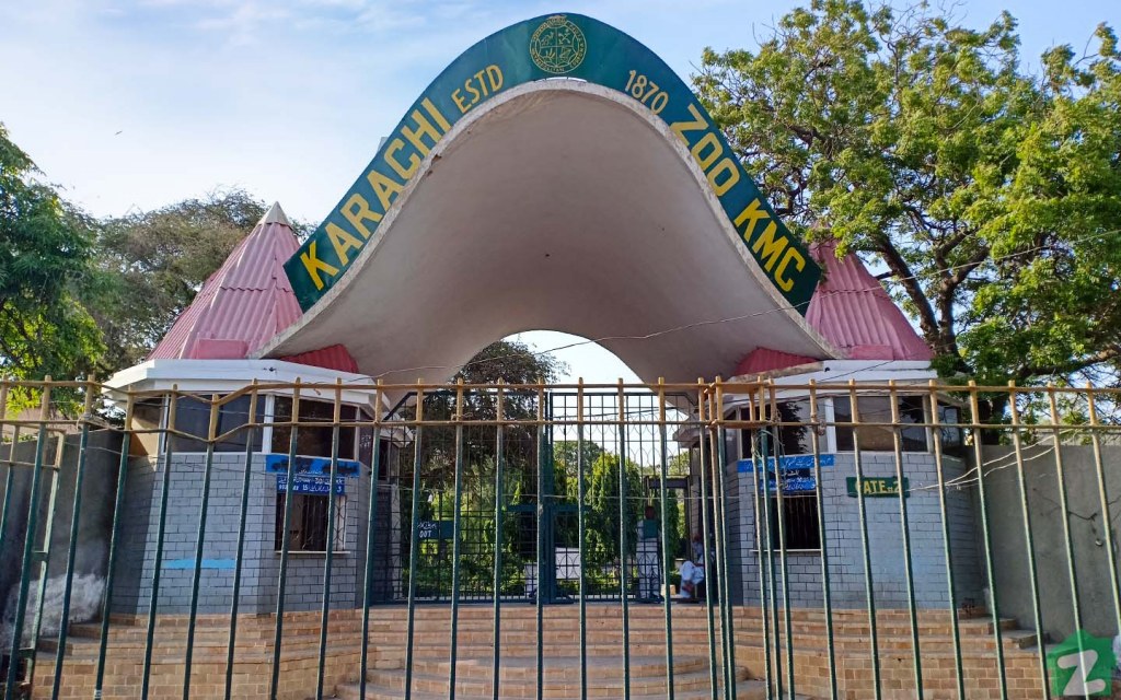 Zoos in Karachi Location, Timings, Prices & More! Zameen Blog