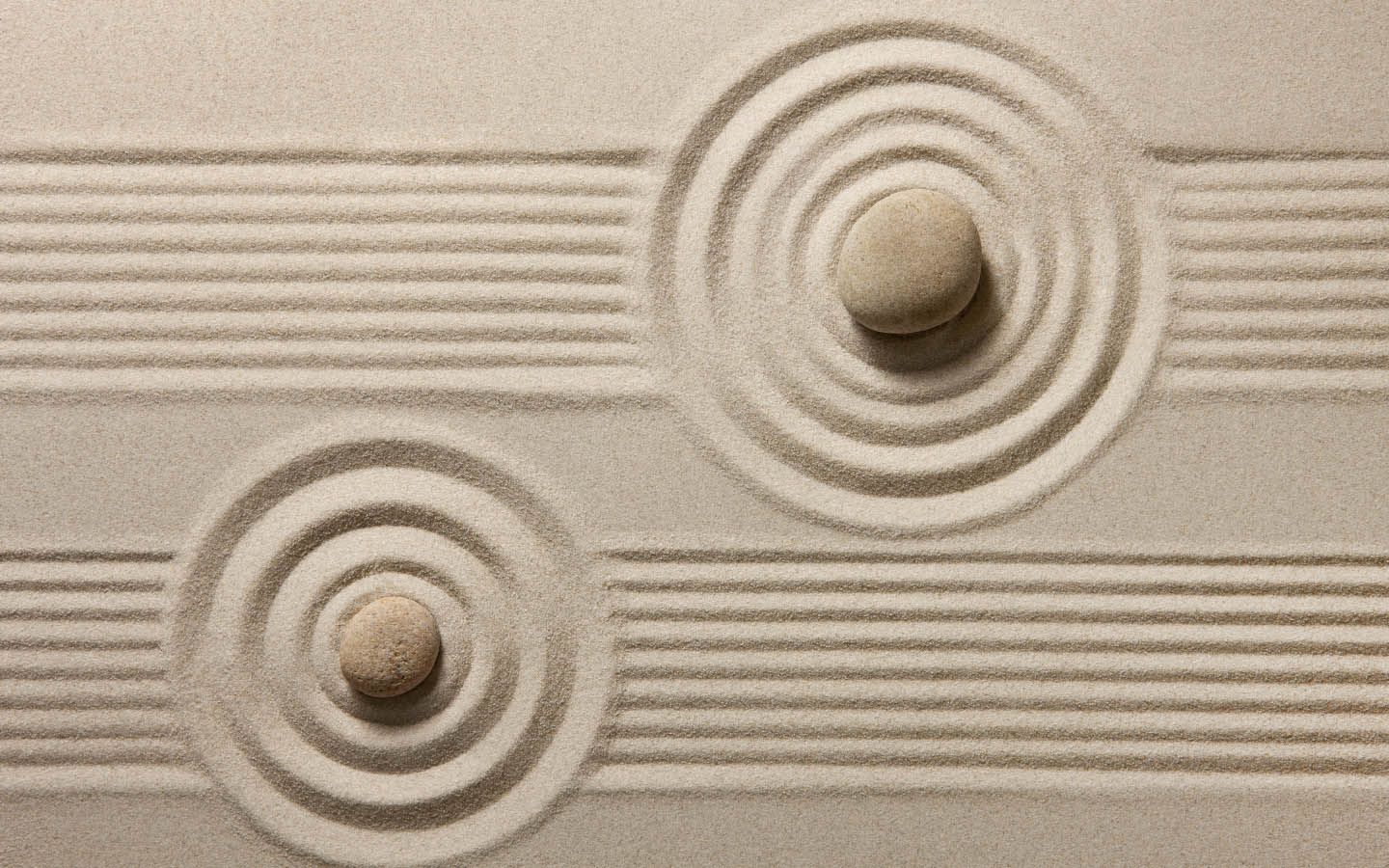 Creative Design Ideas for DIY Rock Garden Zameen Blog