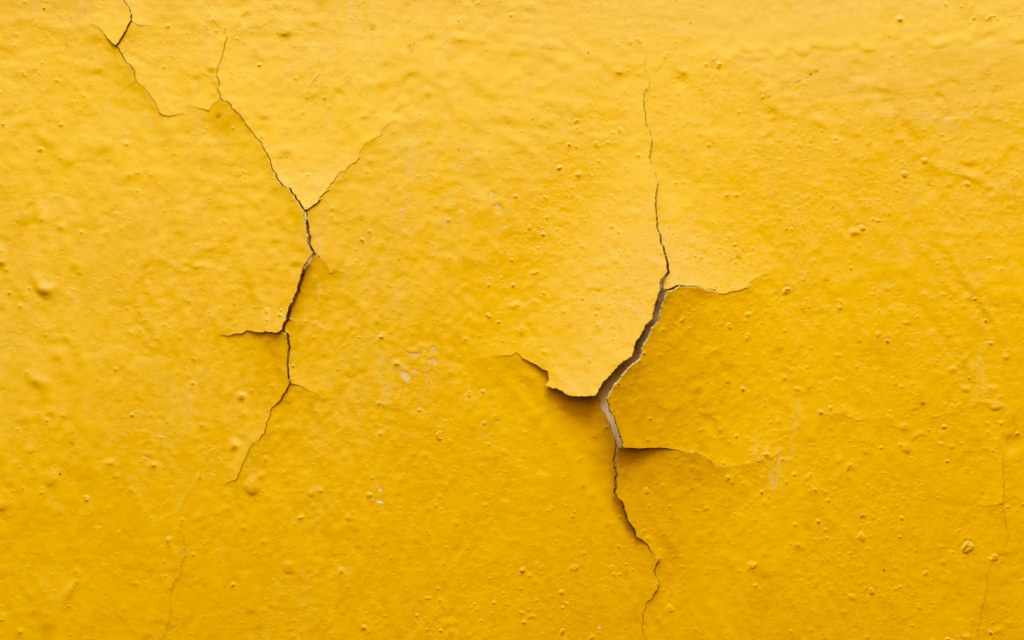 Wallpaper vs. Paint Which to Choose and Why Zameen Blog