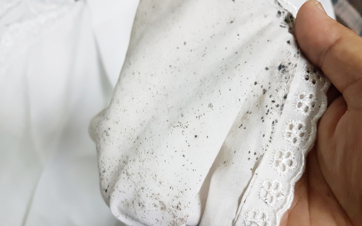 Tips to Prevent Mould from Growing During Monsoon Zameen Blog