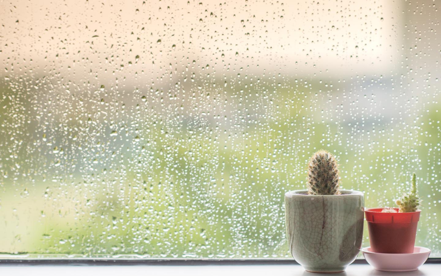 8 Safety Tips for Rainy Season Everyone Must Follow Zameen Blog