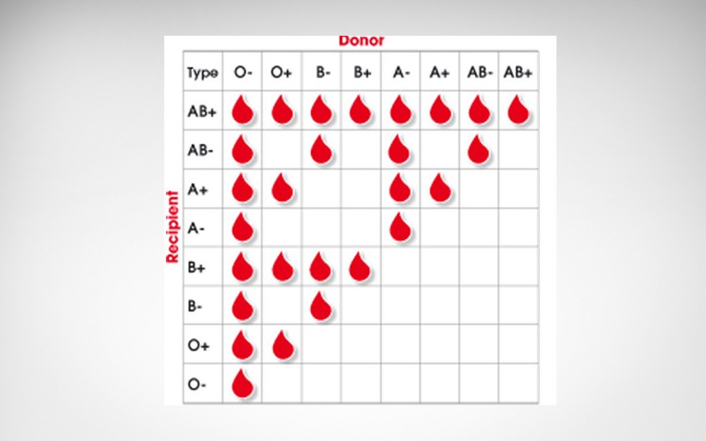 Most Famous Blood Banks In Karachi Zameen Blog