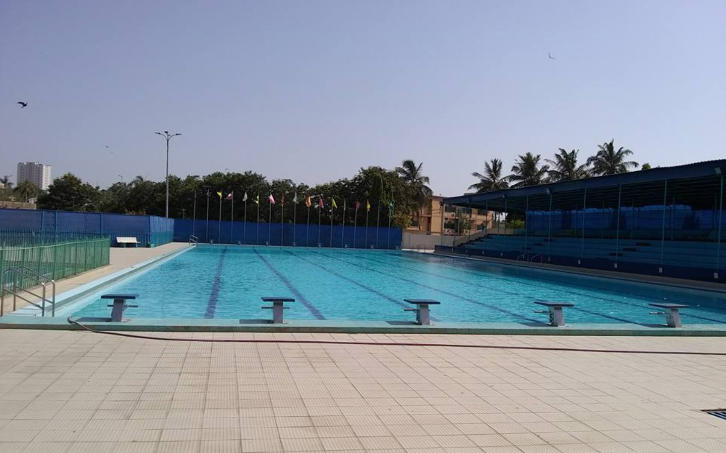 Best Swimming Pools in Karachi Zameen Blog