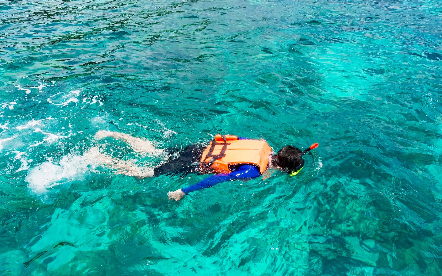 A Complete Guide to Scuba Diving in Karachi Zameen Blog