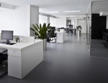 Popular Office Layout Ideas