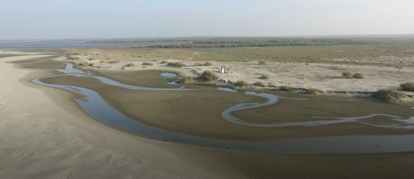 Bundal Island; A dying Hope For Karachi