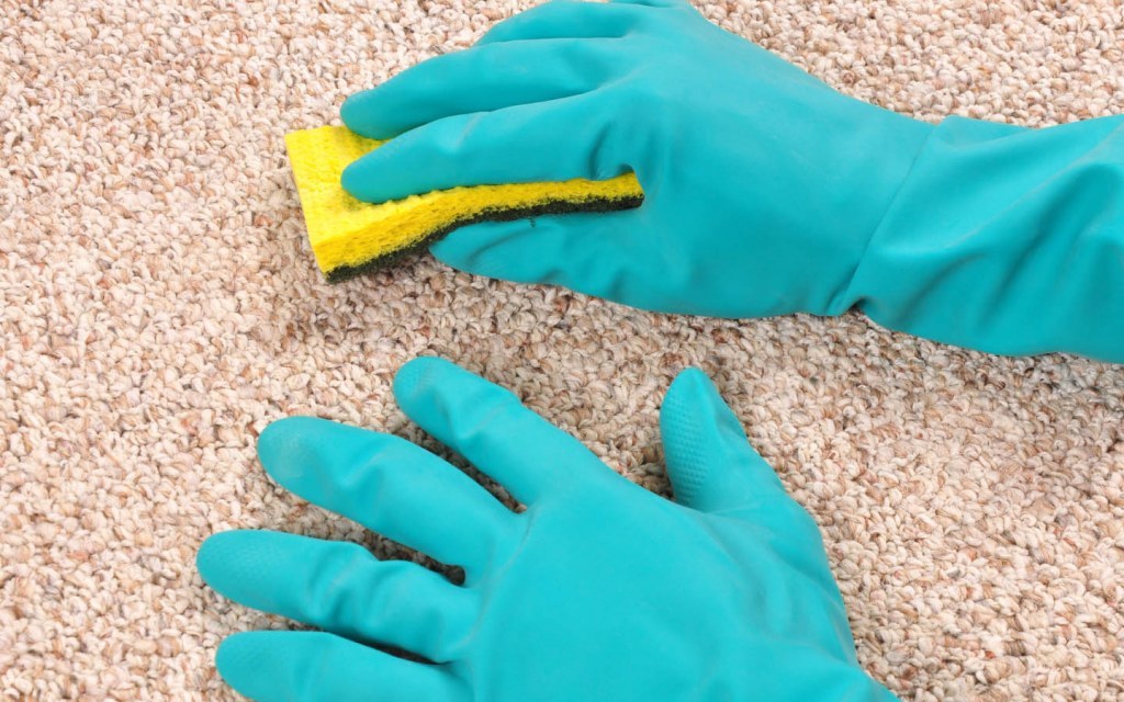 Best Tips to Remove Carpet Stains Zameen Blog