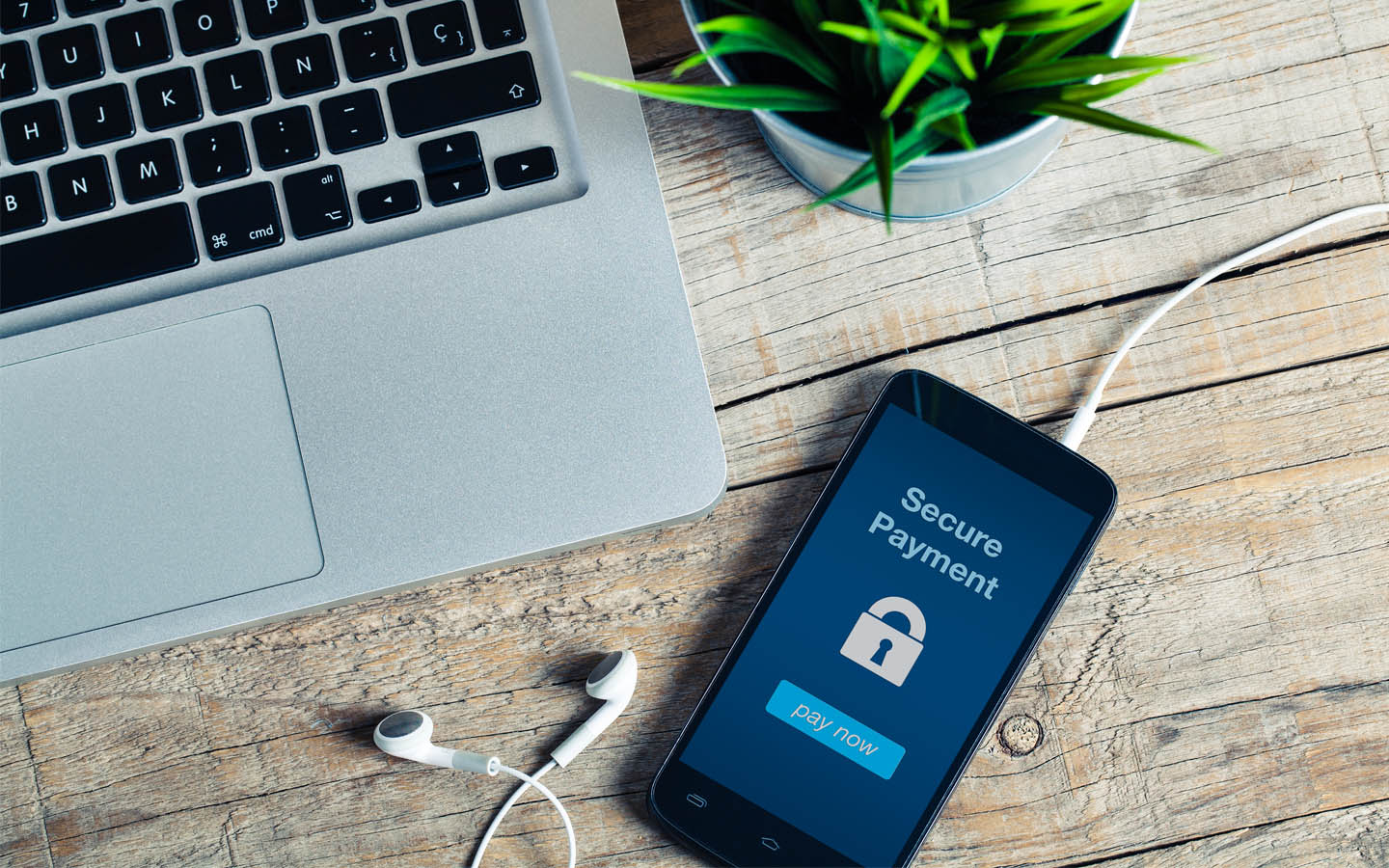 Pakistan visual data 8