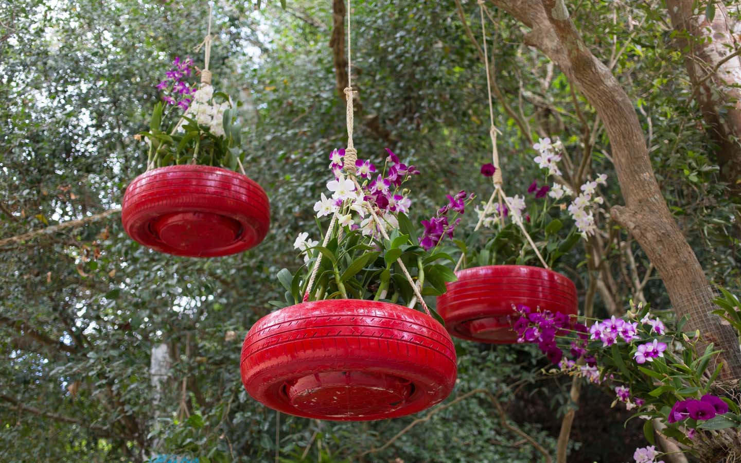 Creative Ways to Recycle Old Tyres in Garden Decor Zameen Blog