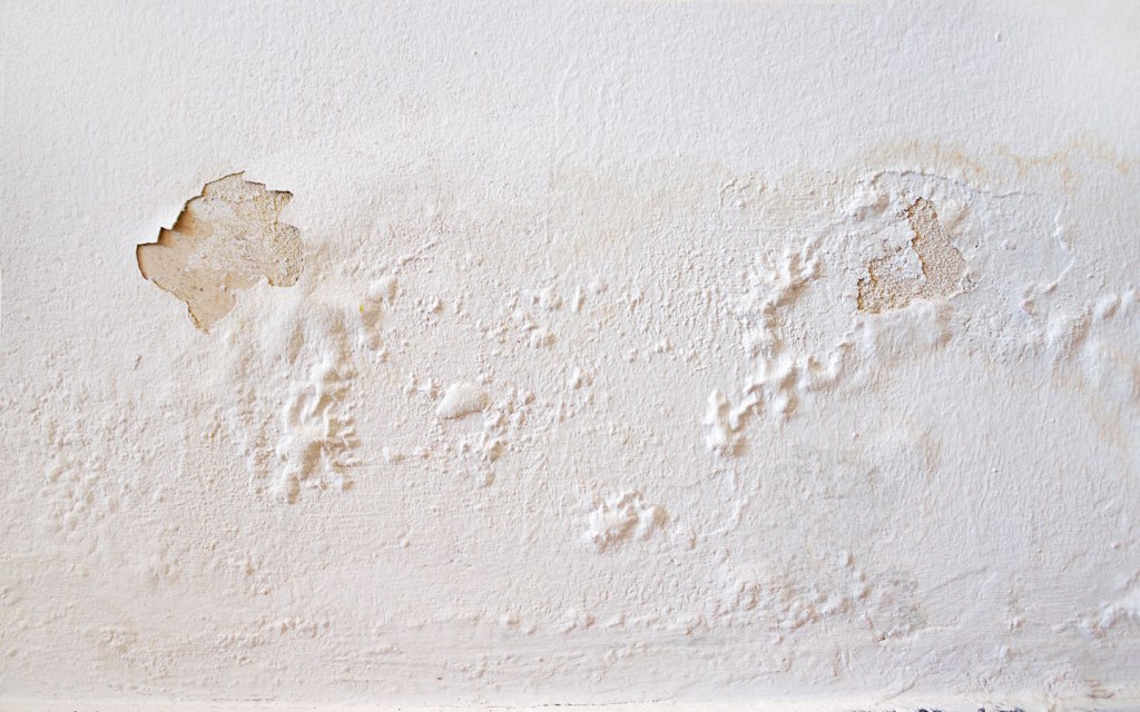 How to Fix Walls with Peeling Paint Zameen Blog Zameen Blog