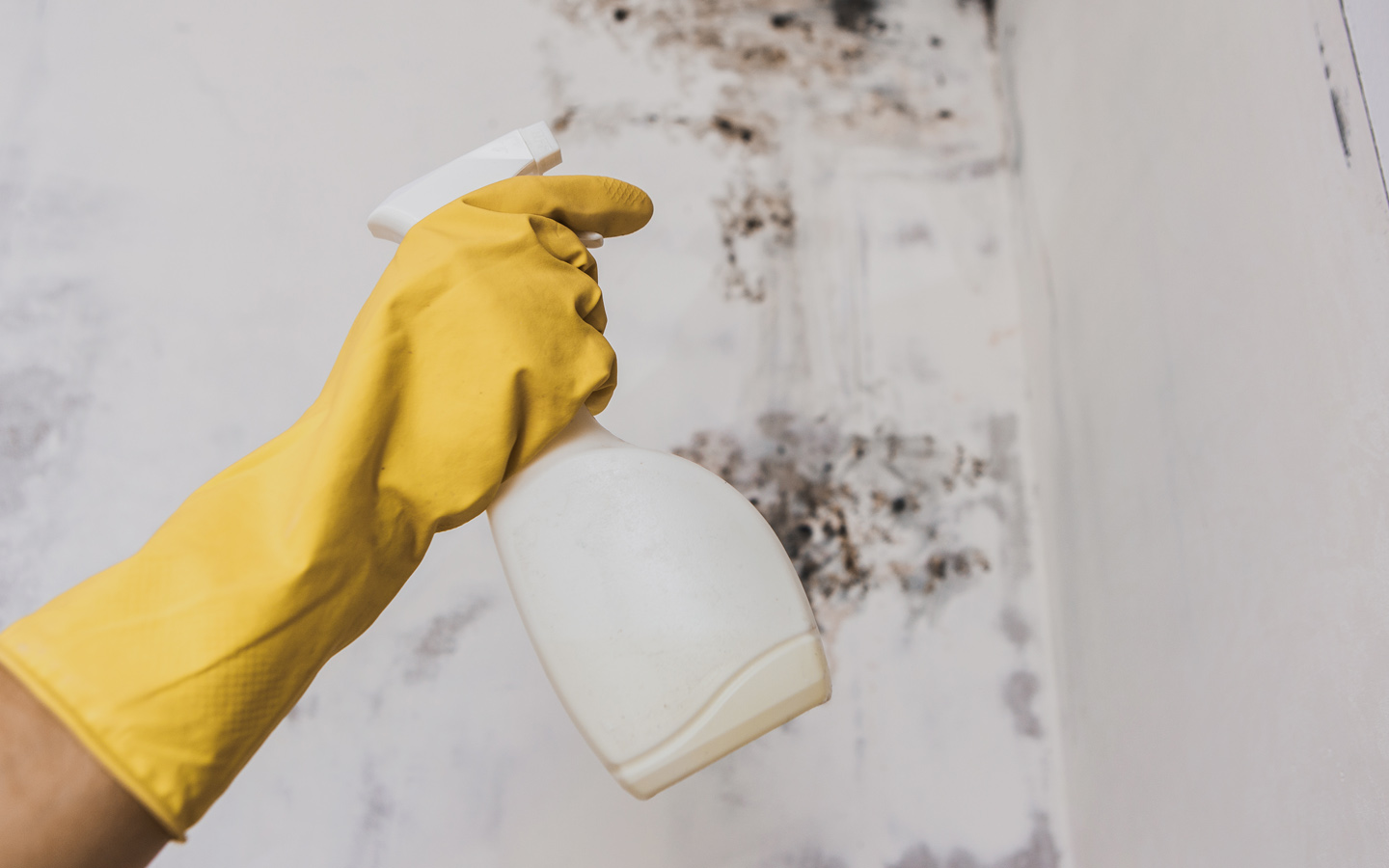 DIY Home Remedies to Get Rid of Mould in Your Bathroom Zameen Blog