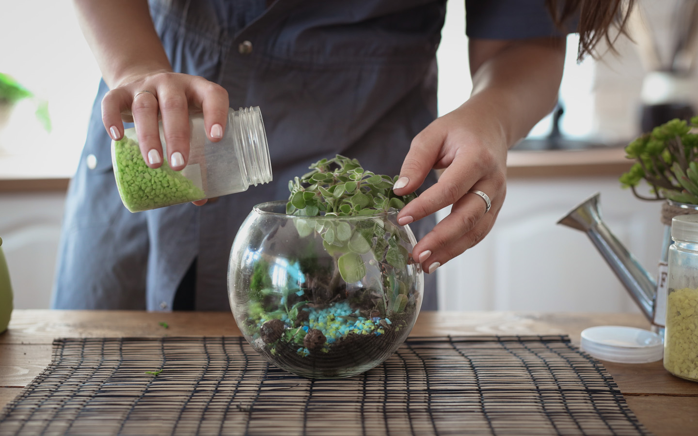 How to Build a Terrarium on Your Own Zameen Blog