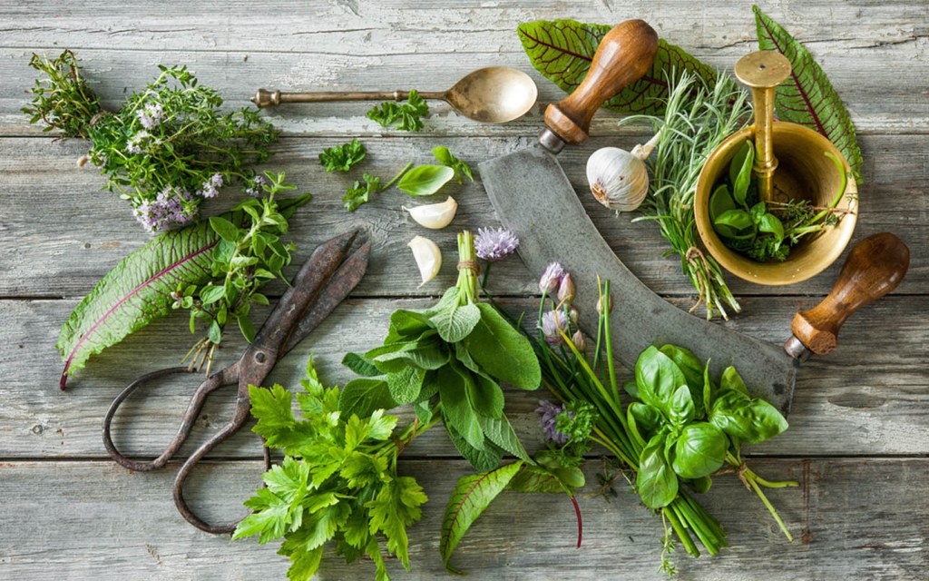 Benefits of Having a Kitchen Garden Zameen Blog