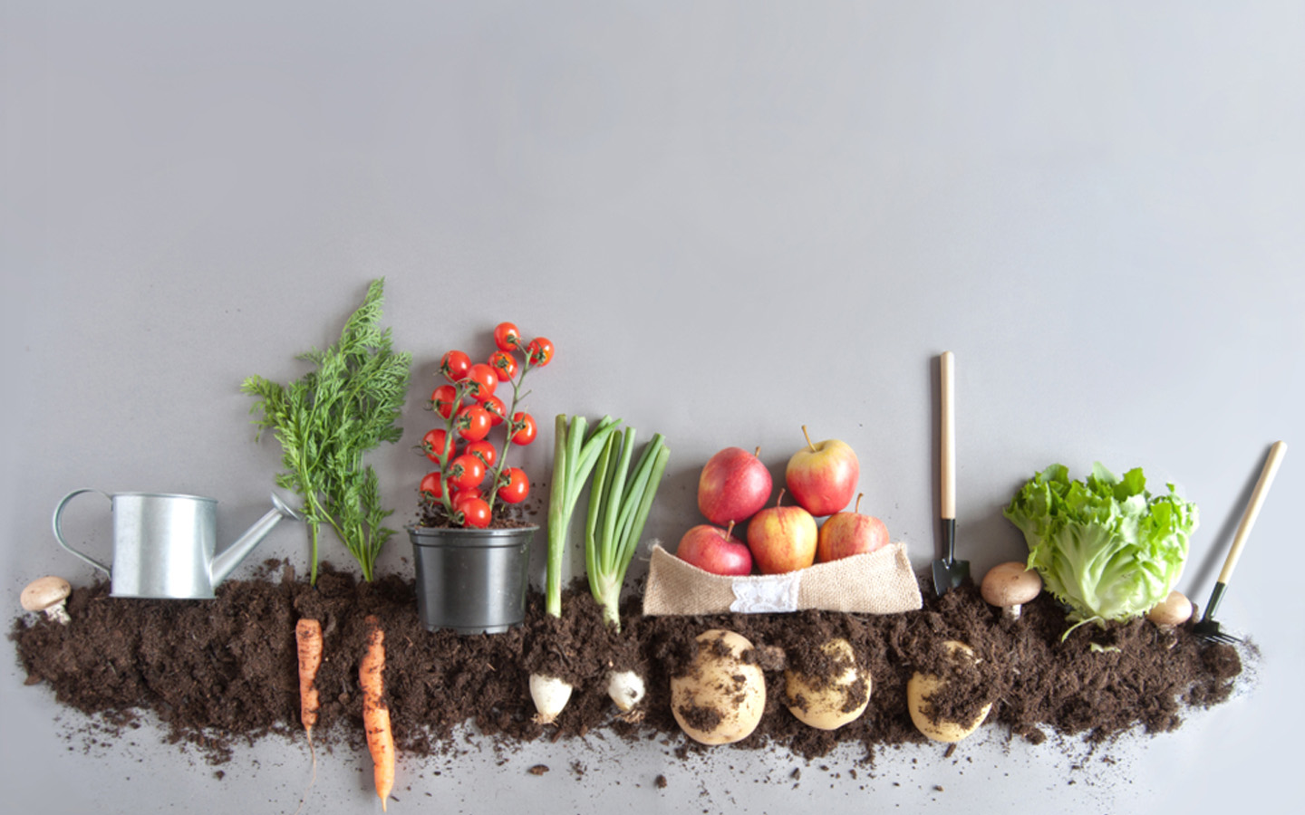 Five Importance Of Kitchen Gardening