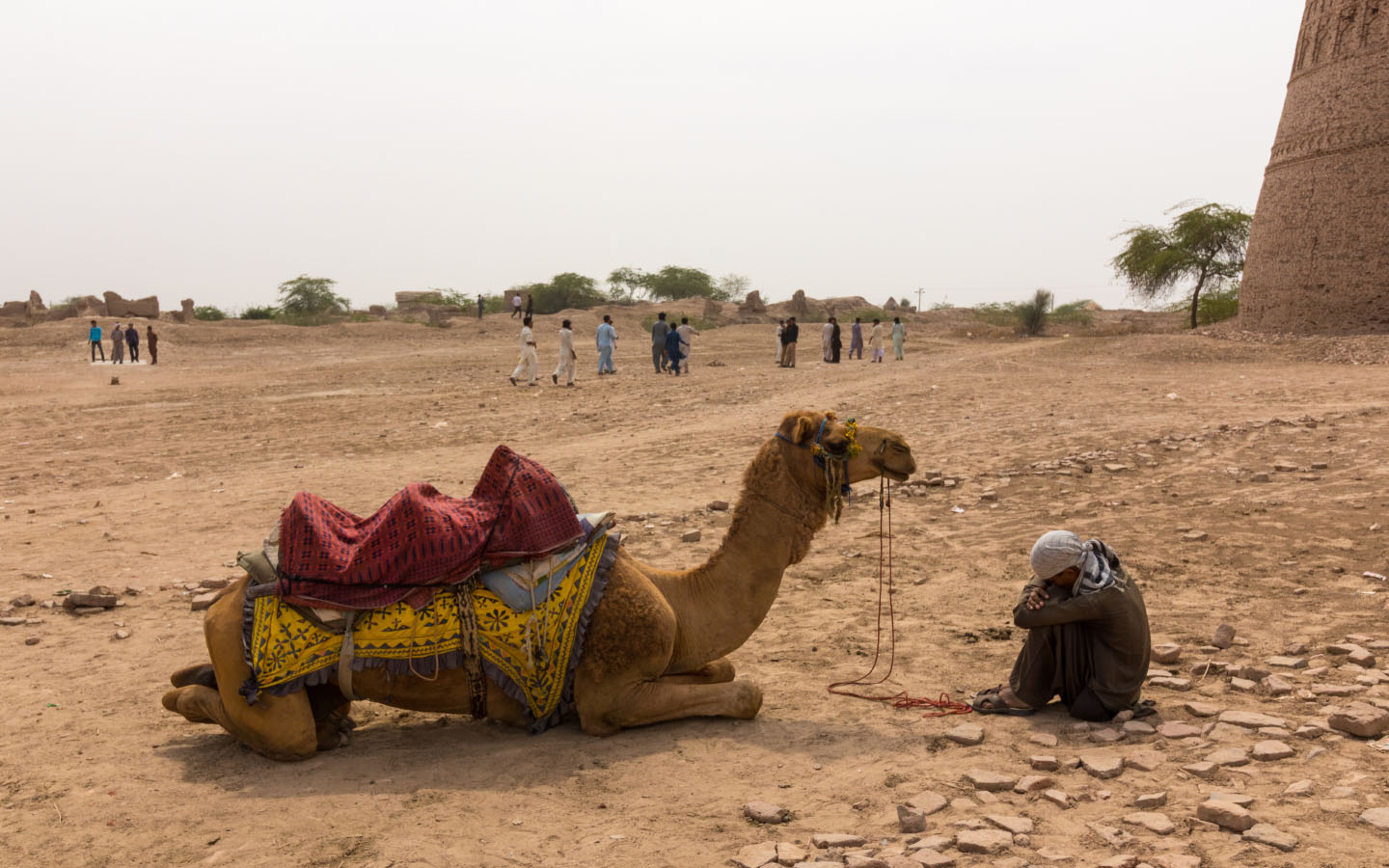 Trip to the Cholistan Desert: Tourism, Activities & More | Zameen Blog