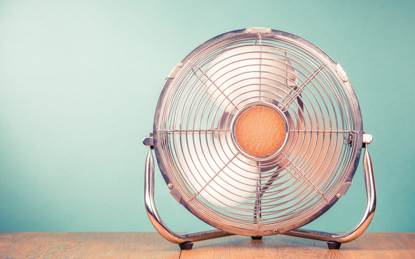 DIY Guide on How to Get Rid of Paint Smell Zameen Blog