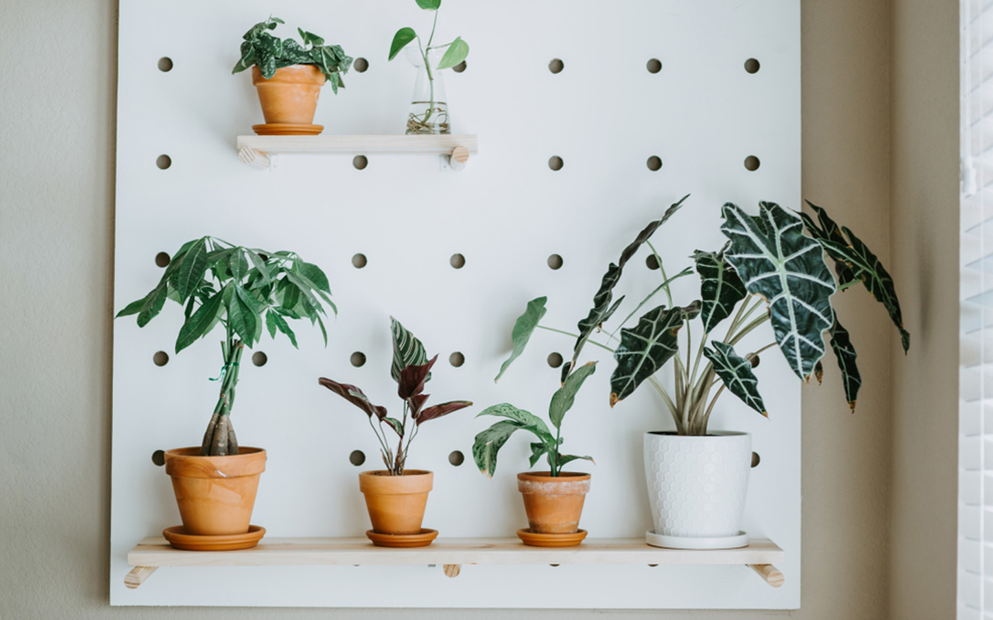 Best Ideas to Hang Things on Walls Without Using Nails Zameen Blog