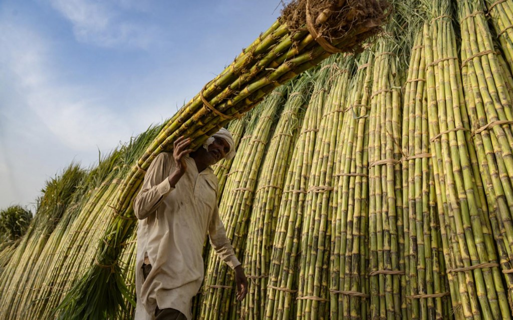 Farms and ranches are examples of agricultural properties 