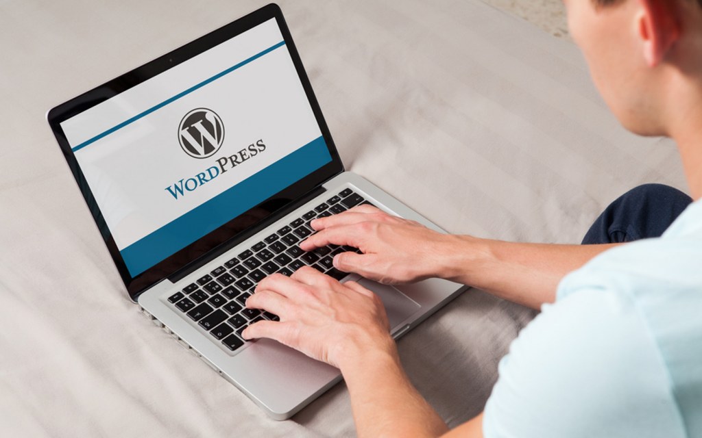 wordpress course is also offered at digiskills