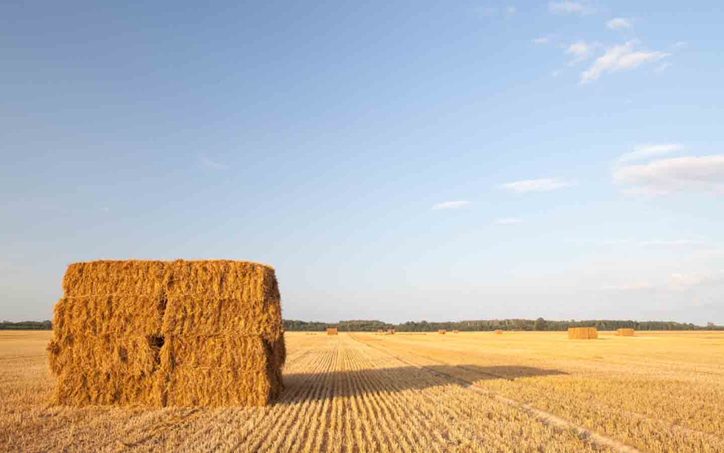 Best EcoFriendly Alternatives for Concrete Zameen Blog