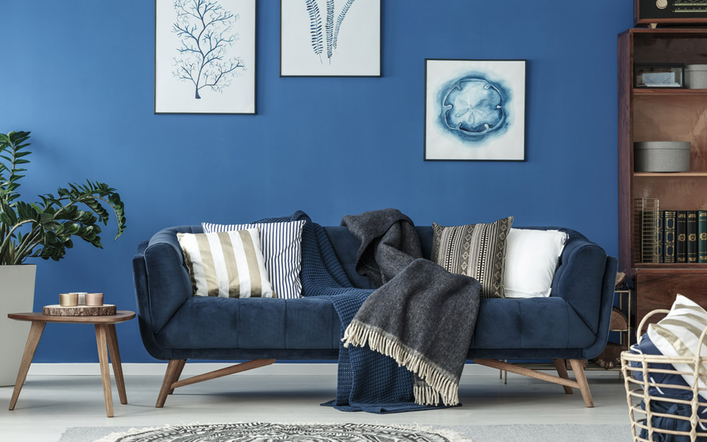 Most Popular Sofa Styles for Every Home | Zameen Blog