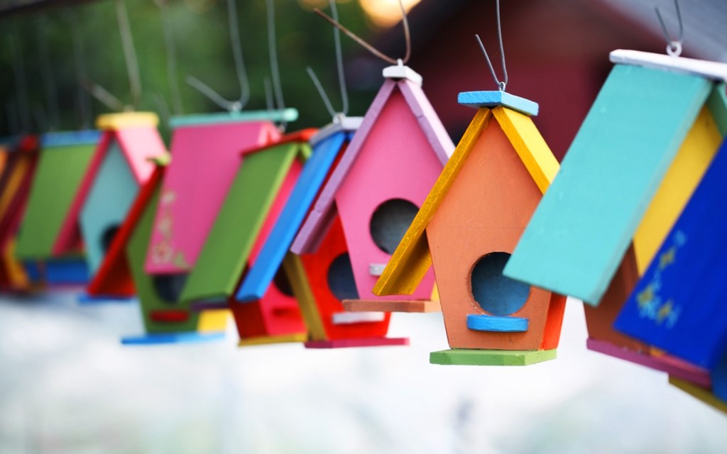 bird houses that attract birds to your garden