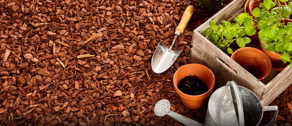 How to Mulch Your Garden & Types of Organic Mulches Zameen Blog