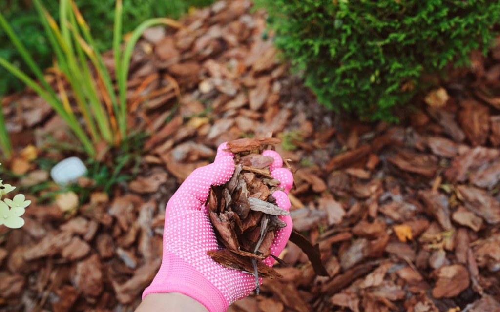 Tree bark as an organic mulch for your garden