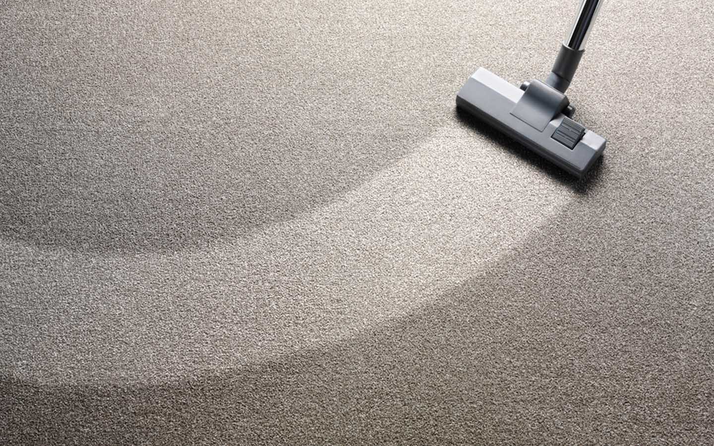 Pros and Cons of Carpet Flooring for Your Home Zameen Blog