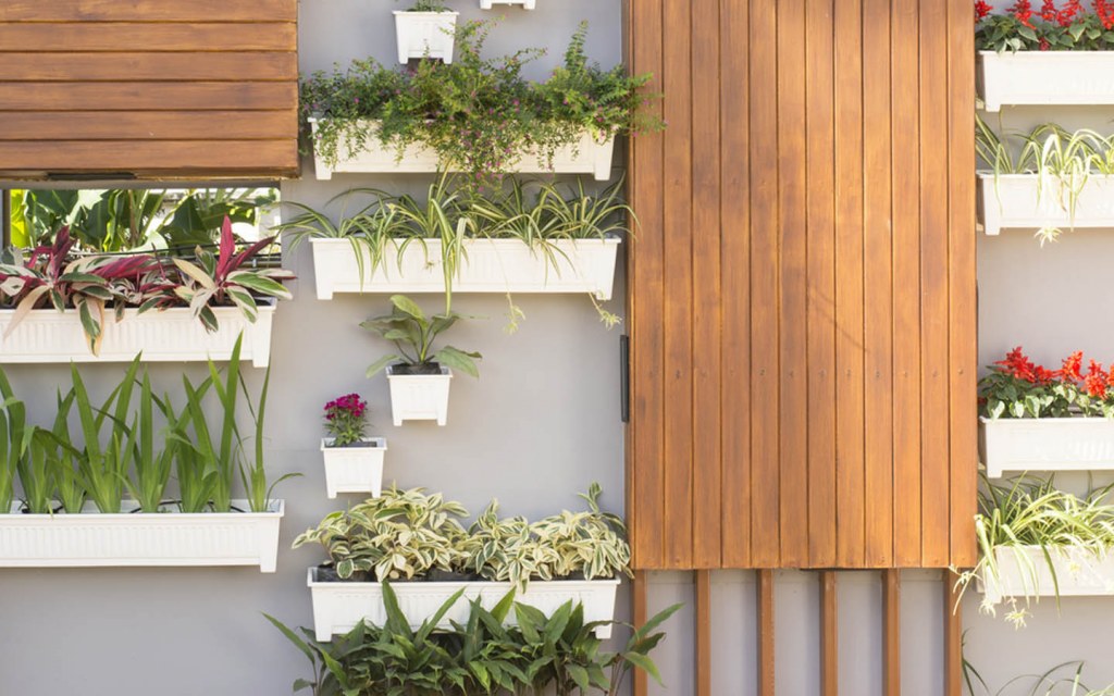 Planters in the terrace