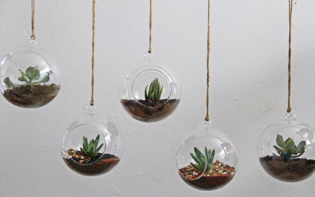 By placing terrariums you can decorate your home with plants