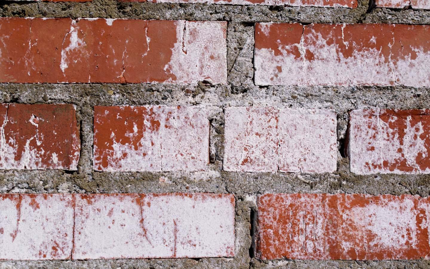 Check the Quality of Bricks for Construction Hardness, Shape & More! Zameen Blog