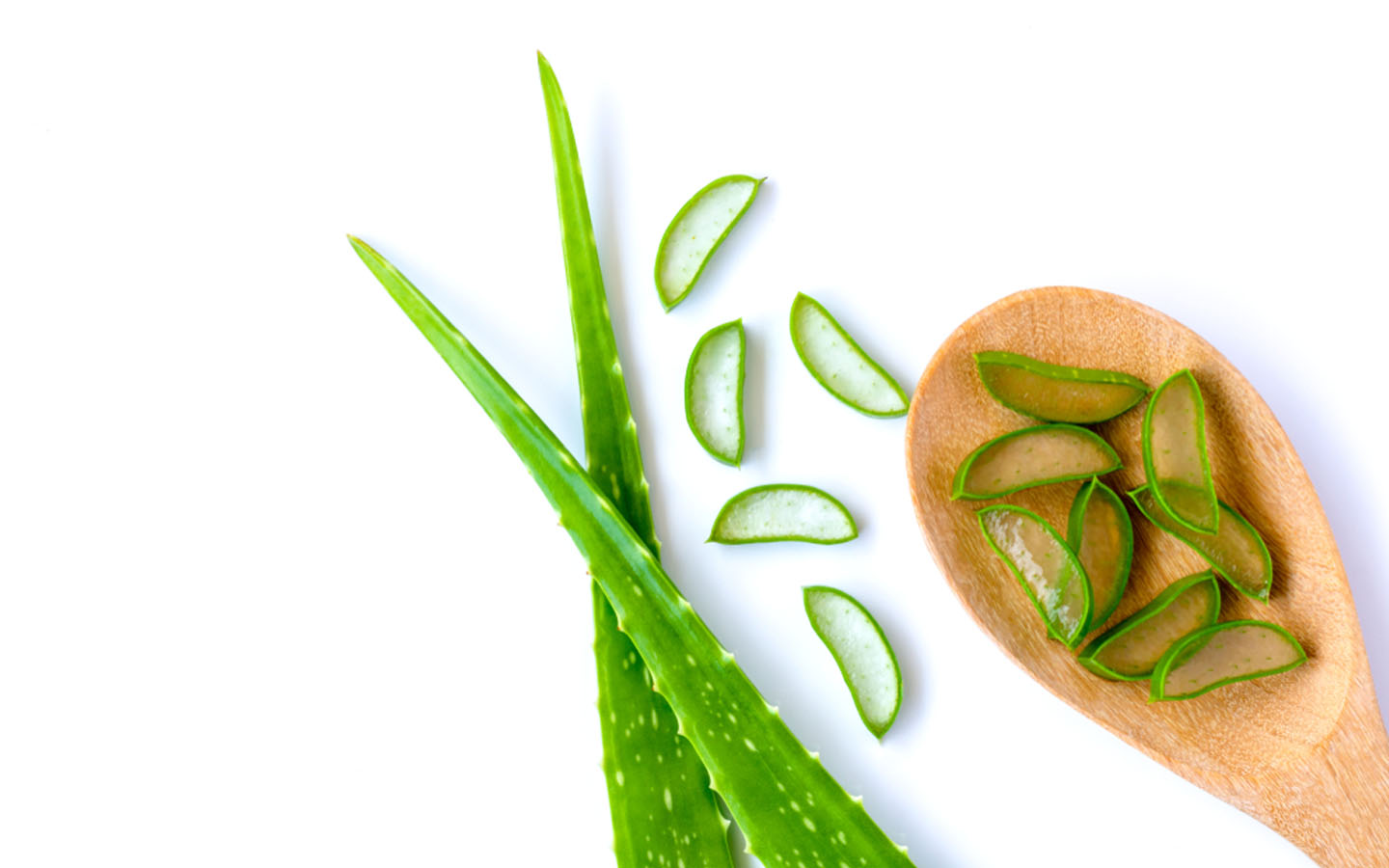 Aloe Vera Plant at Home Growing Tips, Benefits & More! Zameen Blog