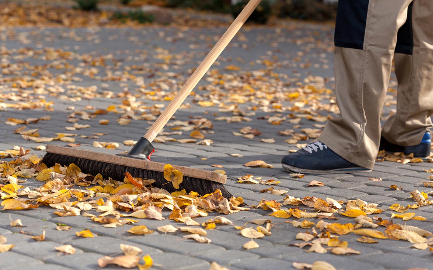 Best Tips to Clean Your Driveway Zameen Blog