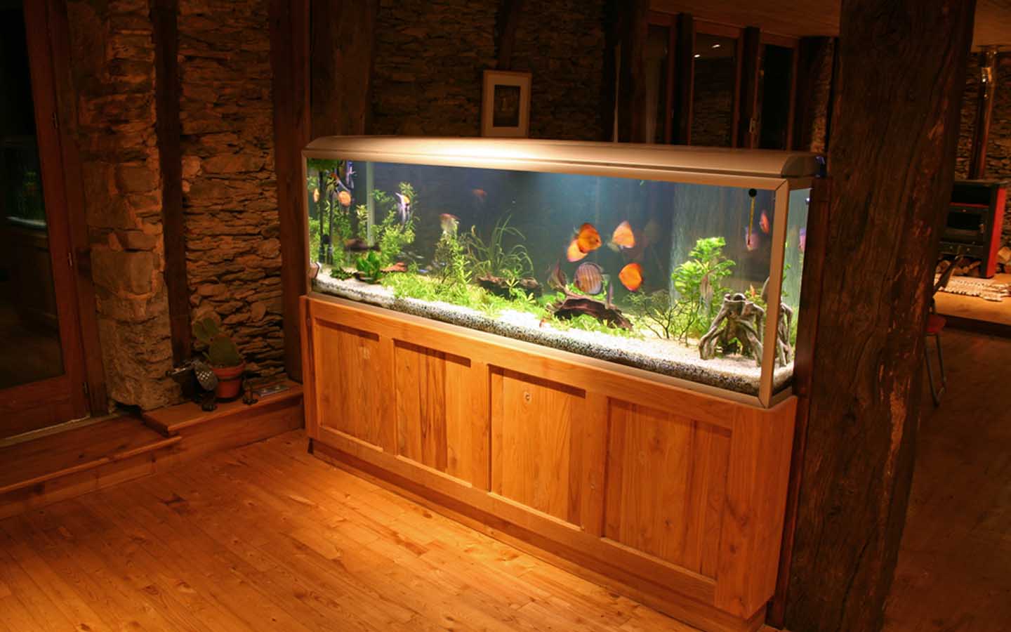 How to Choose an Aquarium Size, Capacity & More Zameen Blog