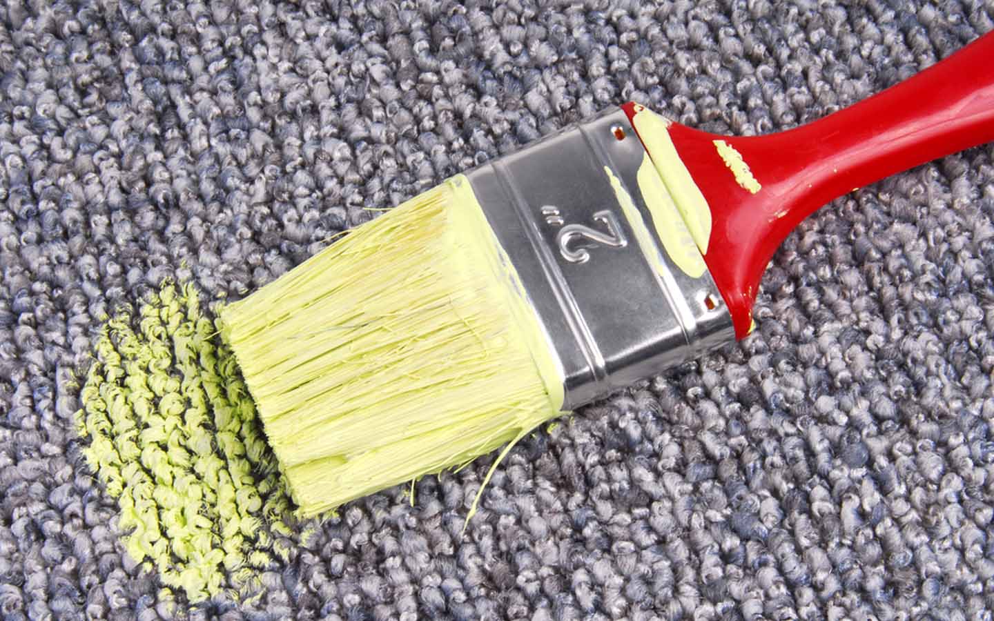 How to Remove Paint Stains from Floors Zameen Blog