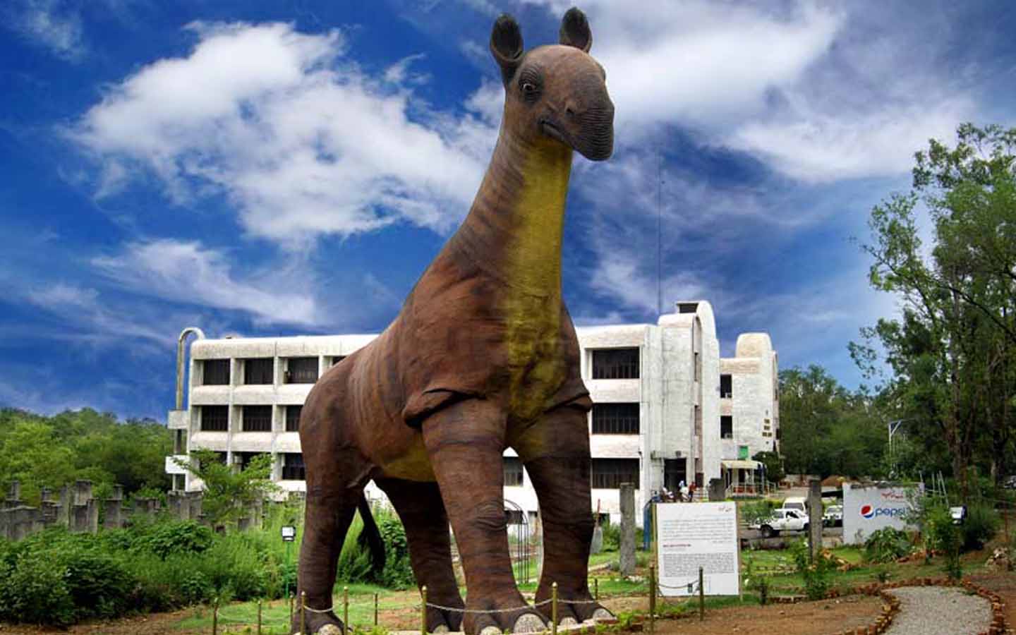 Pakistan Museum Of Natural History Timings Tickets More Zameen Blog