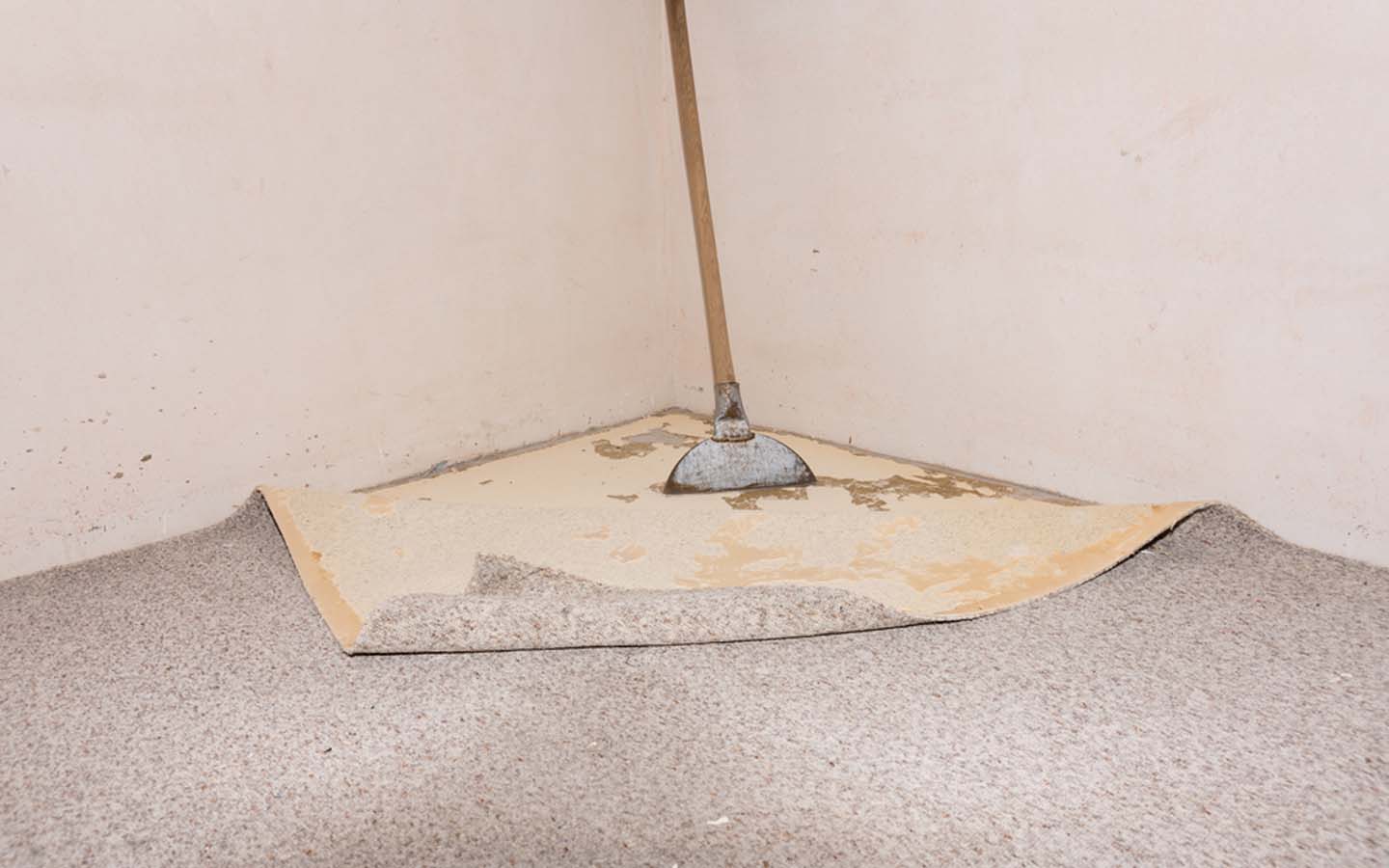 Quick Tips to Replace Carpet with Vinyl Flooring Zameen Blog