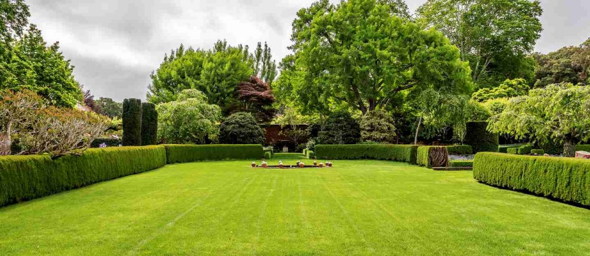 Types of Lawn Grass in Pakistan Korean, Fine Dhaka & More Zameen Blog