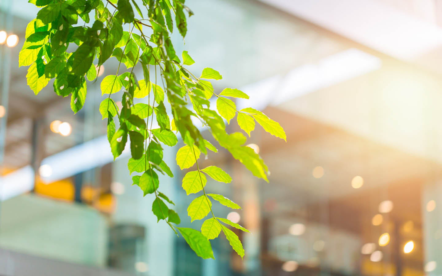 Best Tips to Make a Commercial Building Energy Efficient | Zameen Blog