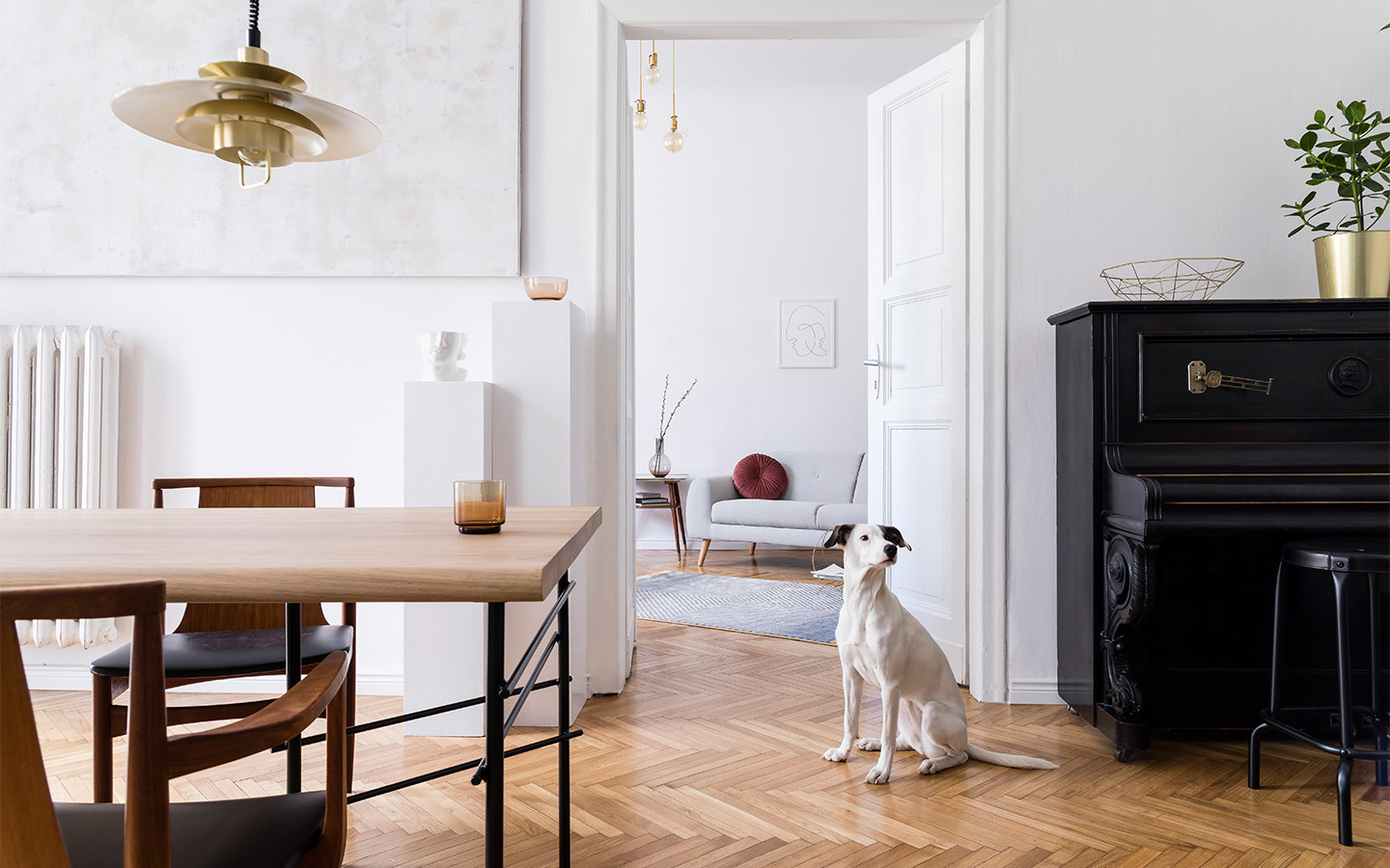 Things to Know Before Choosing White Paint for Walls | Zameen Blog