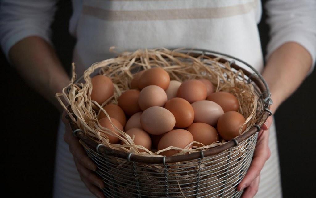 wire baskets can be used to store fruits and vegetables