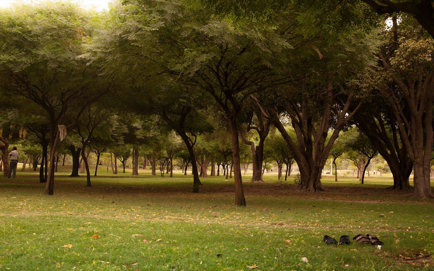 Facilities And Lifestyle To Enjoy In Model Town Lahore Zameen Blog