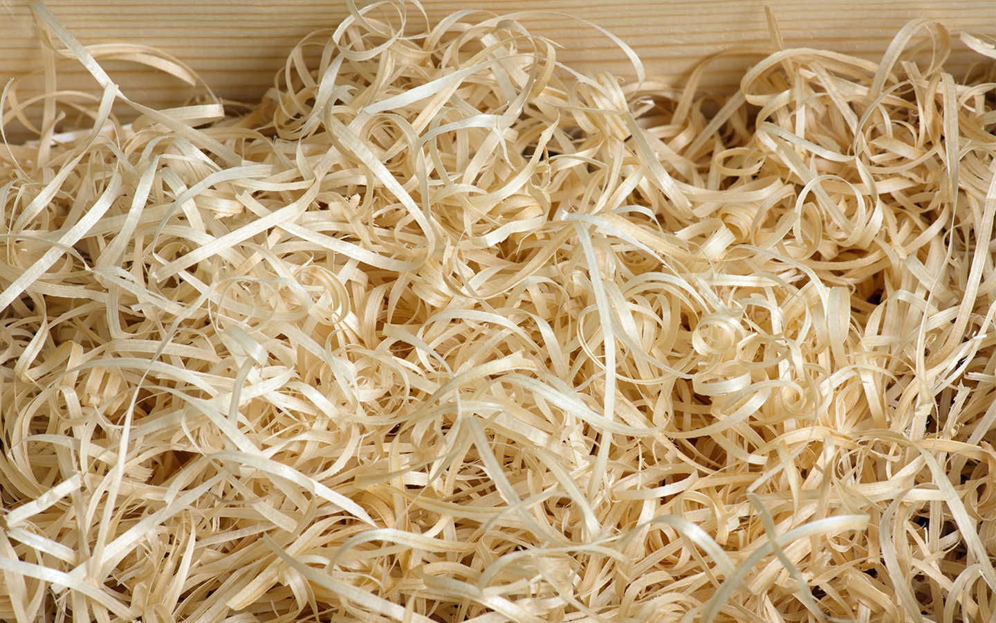 Important Tips For Packing Fragile Items Zameen Blog