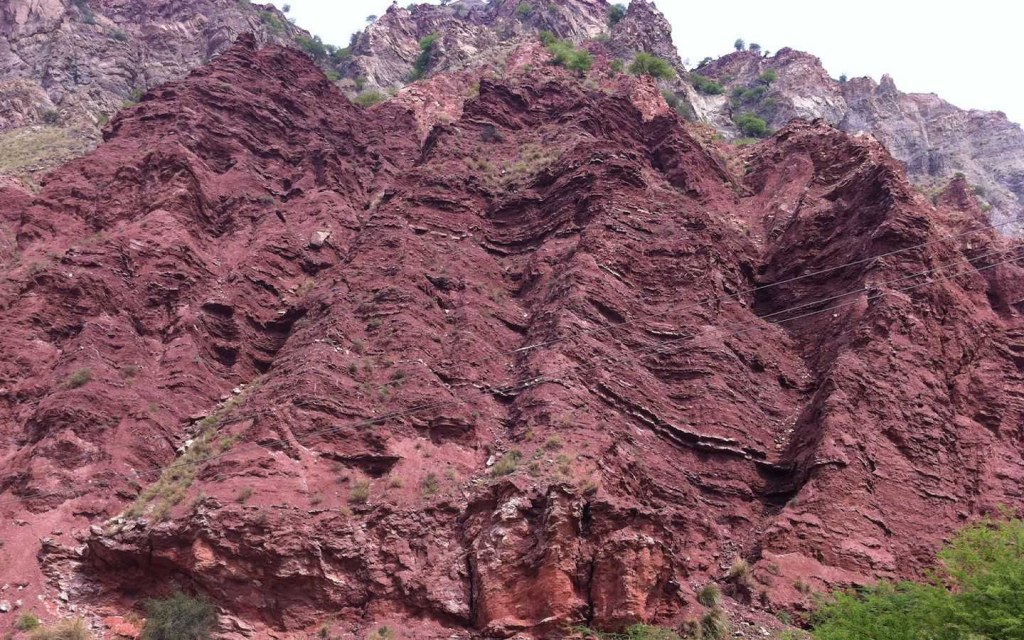 Chinji National Park In Khewra Becomes A Protected Forest| Zameen Blog