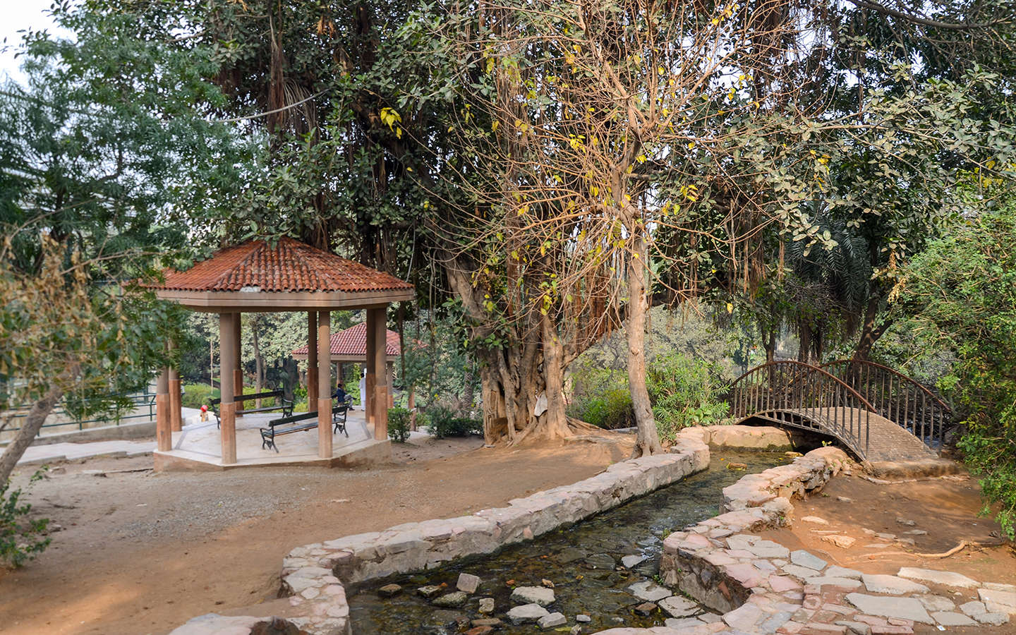 Lahore Zoo Location, Timings & More Zameen Blog